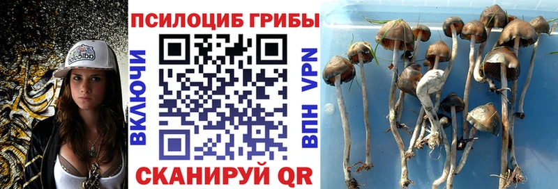 Галлюциногенные грибы ЛСД  где продают   ОМГ ОМГ маркетплейс  Можайск 